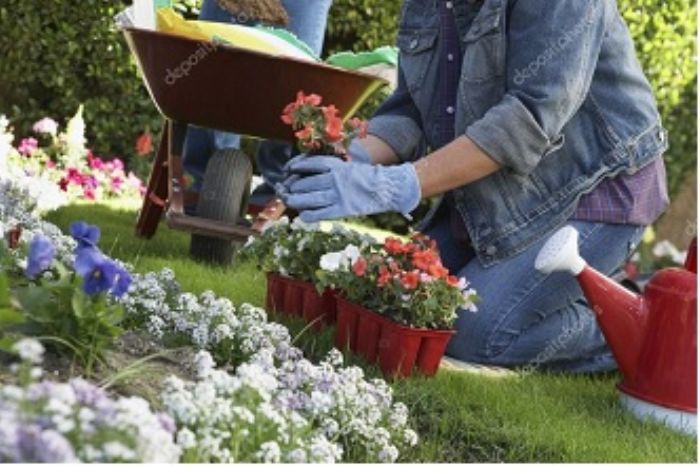 Fare giardinaggio? � meglio della palestra!