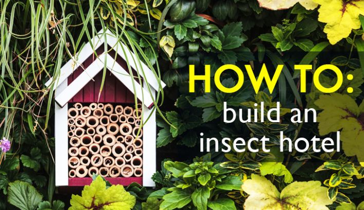 Profumo di Aromatiche ed accoglienti Bug Hotel ore 15.00