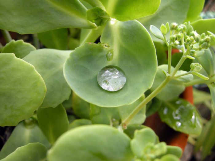 � indispensabile risparmiare acqua