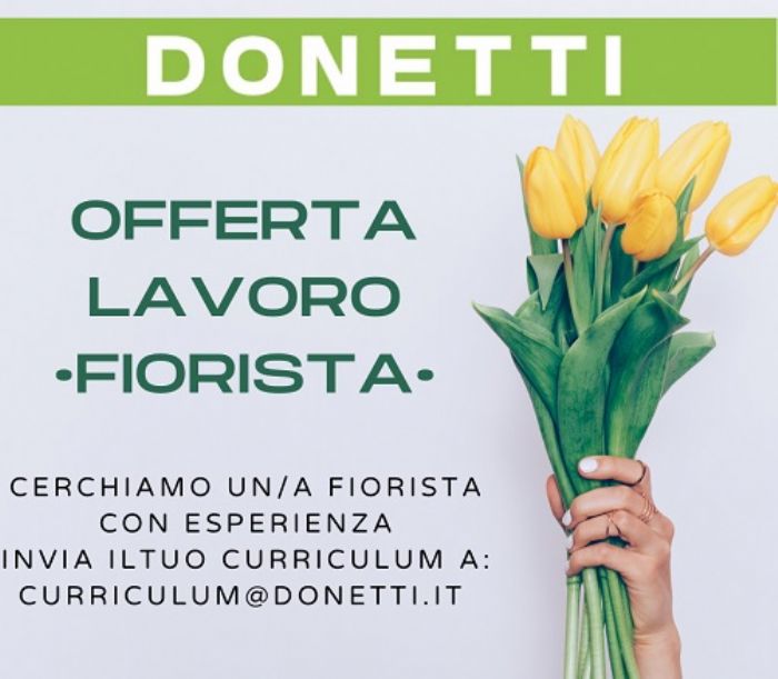 Offerta di lavoro