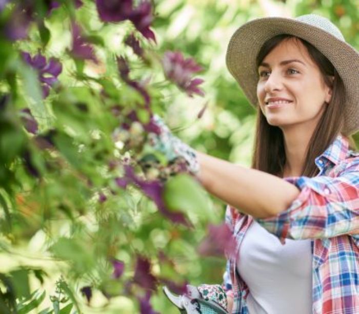 Potatura estiva per piante da fiore