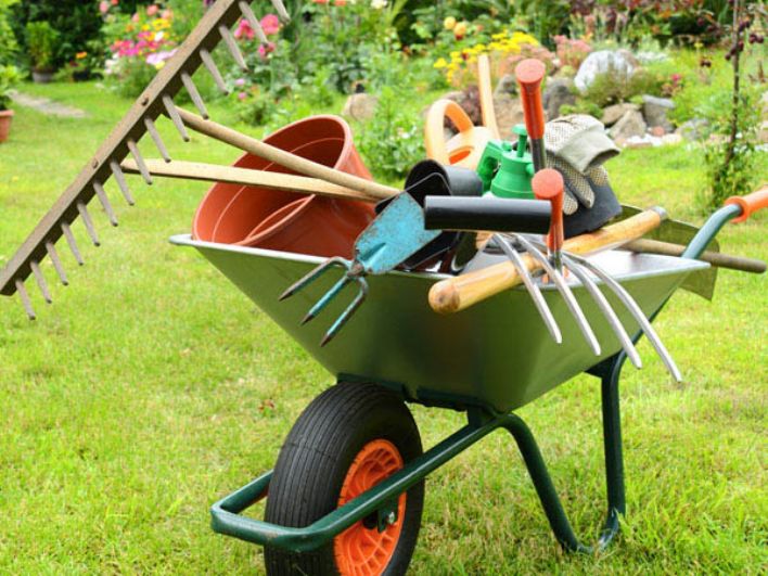 Cerchiamo un addetto reparto di giardinaggio