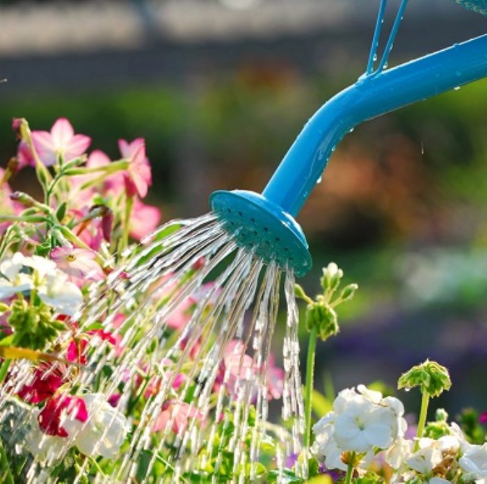 Tutta l�acqua da riutilizzare per irrigare