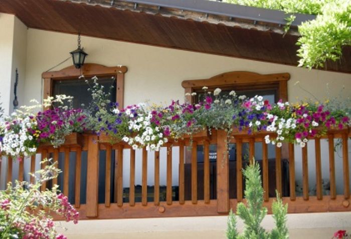 Piante per il balcone fiorite e durevoli
