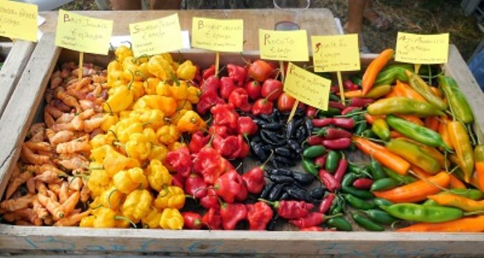 Peperoncino, allegro sul balcone, piccante in cucina