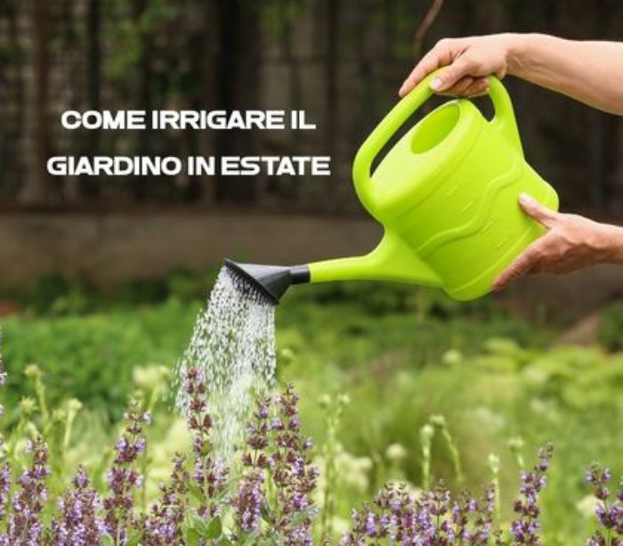 Come irrigare il giardino in estate: piante pi� belle, meno sprechi e niente ristagni