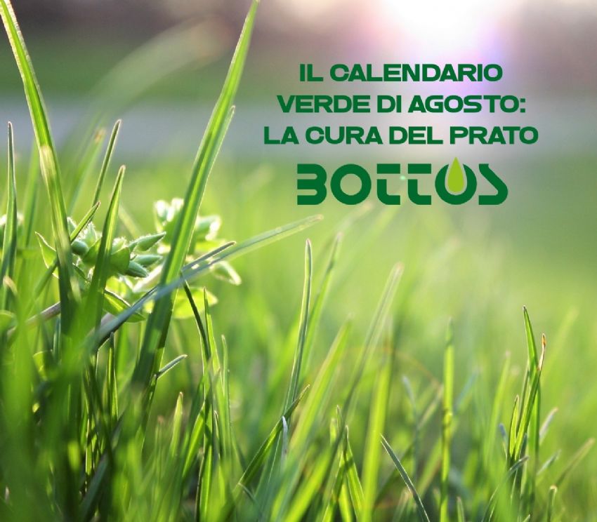 Il calendario verde di Agosto: cura del prato. A cura di Bottos.