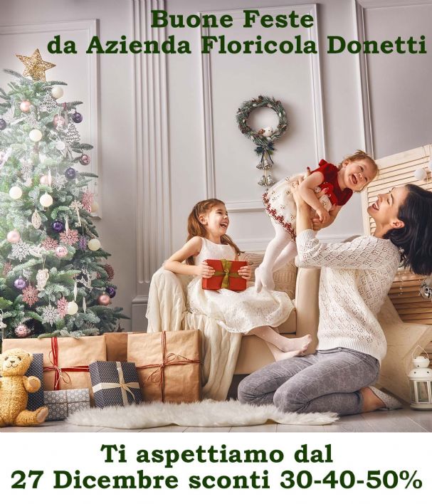 Buone Feste
