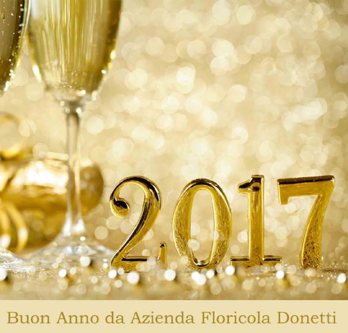 Buon Anno 2017