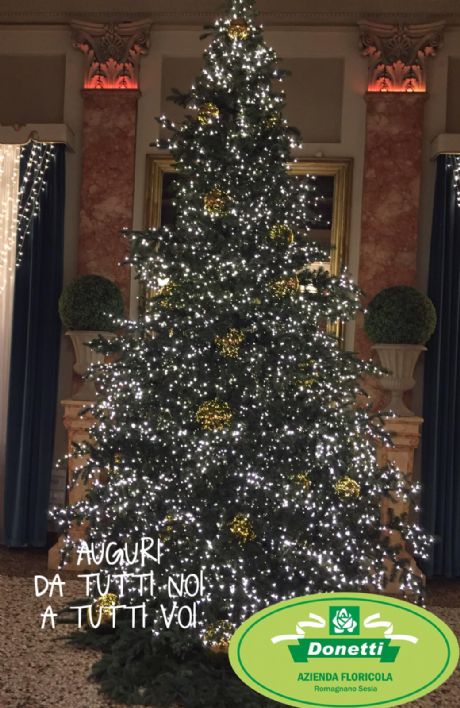 Auguri di Buon Natale