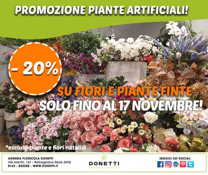 Promozione fiori e piante finte!