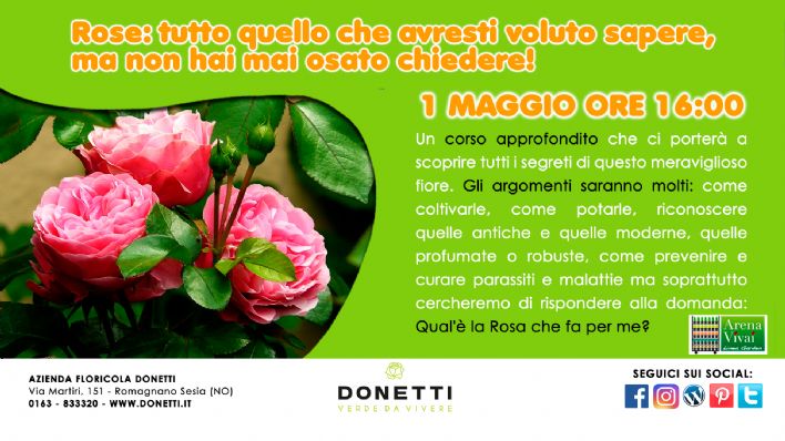 Rose: tutto quello che avresti voluto sapere, ma non hai mai osato chiedere!