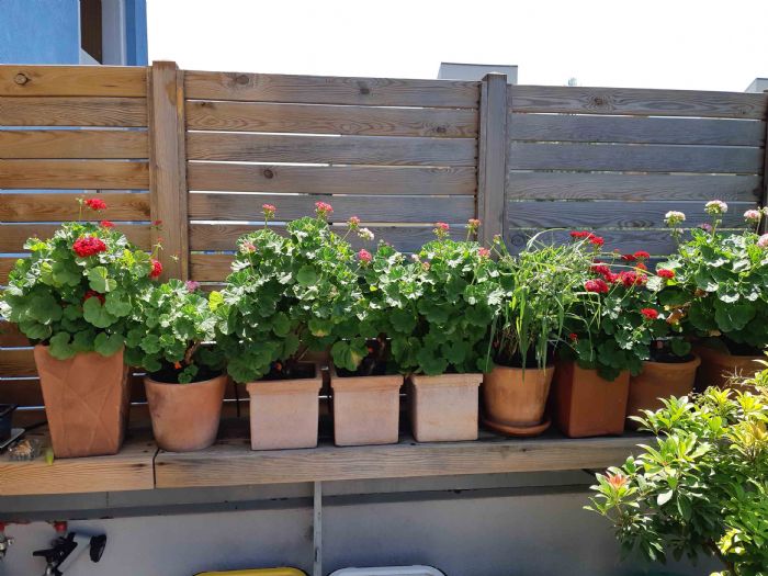 5 motivi per avere l�impianto d�irrigazione in terrazzo
