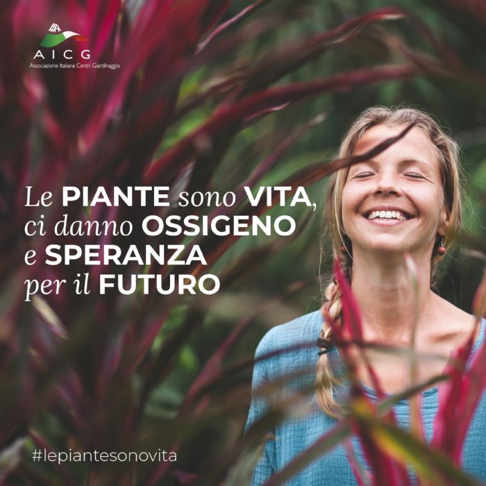 Le piante ci regalano il benessere